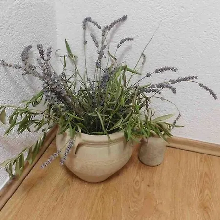 Lägenhet Aldo Sea View