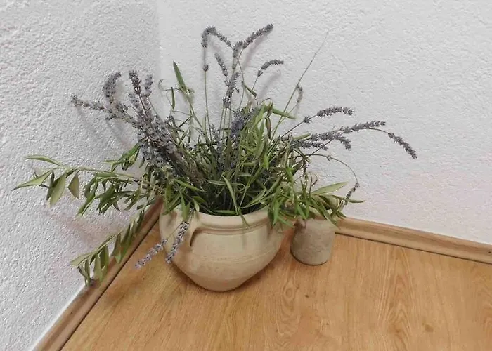 דירה Aldo Sea View